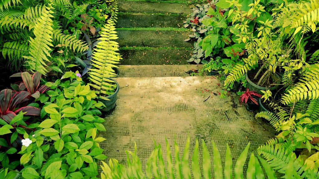 Villa Mariana Kochi Exteriér fotografie